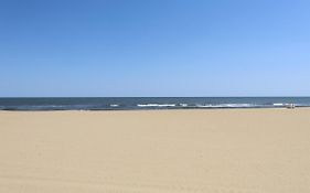 Oceanfront Beach, Sky, & Dolphins